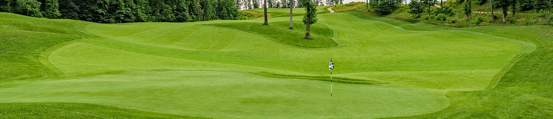 Image of golf ball on tee on grass.